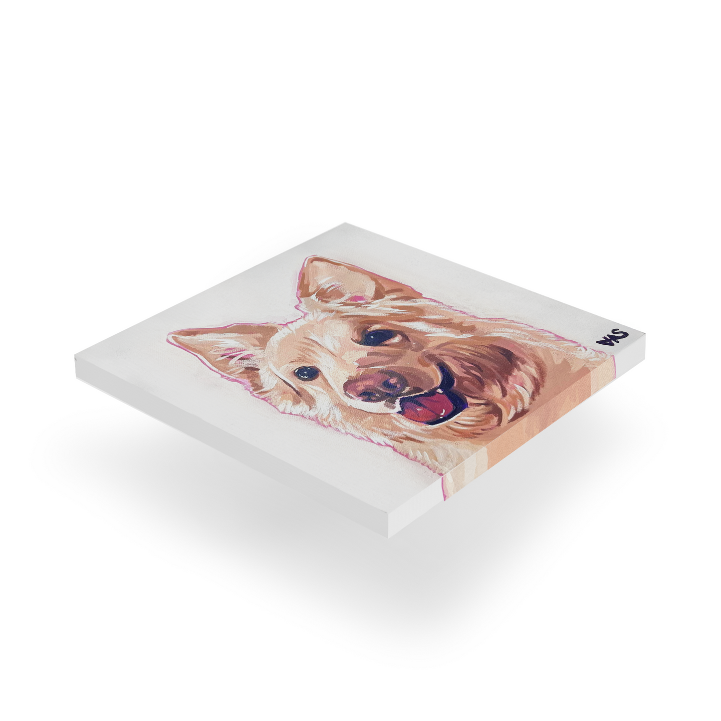 30 x 30 cm Pet Portraits Canvas