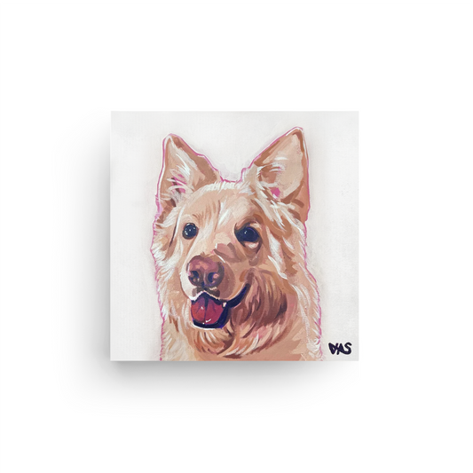 30 x 30 cm Pet Portraits Canvas